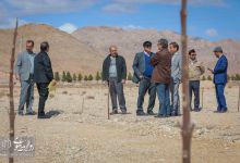 گزارش تصویری |  آیین غرس نهال و تجلیل از پرسنل زحمتکش فضای سبز و باغبانی دانشگاه صنعتی شاهرود 